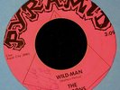 HEAR IT RARE GARAGE The Tamrons Pyramid 7381 Wild Man