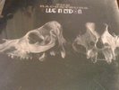 Raconteurs Live In London Third Man Records Vinyl Vault TMR018 MINT RARE