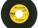 RARE 45 RPM, The Exceptions, Pro Records #1 A/B, VG+,1963, Down By The Ocean