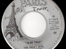PARIS TOWER 60s Florida Garage 45 - SWEET SOUL GENERATION