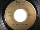 Unknown Detroit Soul PASSIONETTES She Will Leave You / Technique (Master) HEAR