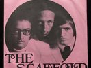 THE SCAFFOLD - LILY THE PINK demo 45 with RARE PIC SLEEVE - NEAR MINT