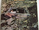 JIMMY BUFFETT LP Down to Earth