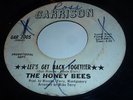 The Honey Bees NORTHERN SOUL 45 Let's Get Back Together SUPER RARE Promo LISTEN