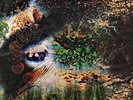 PINK FLOYD - A SAUCERFUL OF SECRETS  vinyl LP pink wax