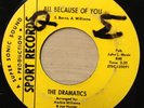 Dramatics   Detroit northern soul 45   All Because Of You   Sport