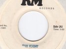 Free Flight RARE/Unknown (?) 70s Hard Rock 45 likely from Miami