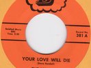 The Vandals RARE 60s Atlanta Garage pounder Your Love Will Die on D