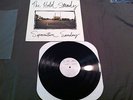 The Hold Steady Separation Sunday Almost Killed Me Lifter Puller LFTR PLLR oop