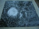 BAPTISM   the beherial ..    LP   rare  first press watain deathspell omega