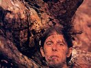 JOHN MAYALL Back To The Roots UK Polydor vinyl LP Record EXCELLENT CONDITION
