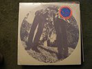 Ty Segall & the white fence - RARE -RSD LP - Limited   -NEW