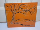 COMPLEX 1st LP RARE tenth planet reissue psych mod freakbeat