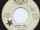 HEAR-Rare Mod / Garage 45- The Raven- Calamity Jane-Rust #R-5123DJ - Promo - VG