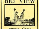 Big View 7