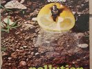 Franco Battiato Pollution stampa originale Bla Bla Progressive