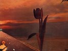 PRETTY THINGS Parachute 1970 UK or. lp NO EMI on label Harvest