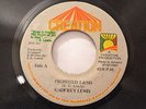 GADFREY LEWIS - PROMISED LAND - CREATION