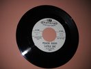 LITTLE JOE AND THE MUSTANGS PROMO 45, PEACH SEEDS & SOUTH SWELL 59273