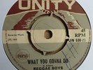 REGGAE BOYS - WHAT YOU GONNA DO UK 7