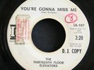 Psych 45 THE THIRTEENTH FLOOR ELEVATORS You're Gonna Miss Me on IA Promo LISTEN