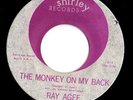 Mod R&B Popcorn 45 RAY AGEE Monkey On My Back/Tragedy HEAR Shirley Great