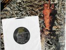 Budgie SIOUXSIE & The Banshees JUJU Autographed 1981 Punk Gothic Rock Signed LP