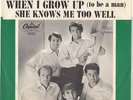 BEACH BOYS--PICTURE SLEEVE ONLY--(WHEN I GROW UP TO BE A MAN)--PS--PIC--SLV