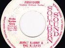 Jimmy Rabbit & The Karats-Pushover-Rare Texas Garage 45-Promo-HEAR