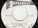 Andy & Joey - You're Wondering Now - KILLER SKA