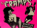THE CRAMPS- RARE 7