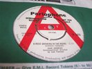 EX UK DEMO 45 - PARLOPHONE - JOHN ANDREWS - A ROSE GROWING IN THE RUINS