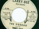 TERRY GALE - LARRY-BEE PROMO - THE VOODOO - GREAT EARLY ROCKER