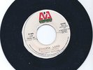 Chokey Taylor Ethiopia Land/Killer Dub Micron Ja (75) Black Ark Rarity EX++