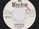 '57 Texas Piano Instro Pounder SLIM WILLET Pandemonium/Crazy, Crazy HEAR BOTH