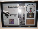 real The Scorpions Crazy World RIAA Platin Platinum Award goldene schallplatte