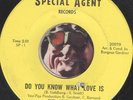 SYL JOHNSON Do You Know What Love Is RARE NORTHERN SOUL R&B 45 RPM  RECORD HEAR