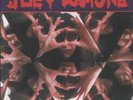 Joey Ramone-rock n roll is the answer.7