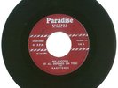 RARE 45 RPM, The Harptones, Paradise Records #103 VG+, My Success/I've Got...
