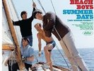 THE BEACH BOYS - SUMMER DAYS (AND SUMMER NIGHTS)  VINYL LP 12 TRACKS POP NEU