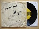 WASTELAND Want not EP with ONO 7