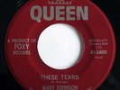 NORTHERN SOUL R & B - MARY JOHNSON These Tears QUEEN