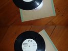 Blue Turns To Grey - The Epics - 7 inch Vinyl - Advanced Promotional Copy