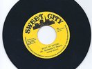 Leroy Smart Keep On Trying/Hypocrite Ja 1975 Roots Killer Mint-