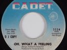 Northern Soul 45 JAMES PHELPS Oh, What A Feeling CADET HEAR