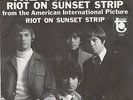THE STANDELLS - Riot on Sunset Strip - USA PS - Garage Beat