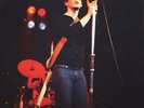Lou Reed - Hero & Heroine DLP Swingin Pig