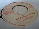 Wayne Smith Life Is A Moment In Space Killer Roots 7