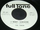 THE TRAIN I Want Sunshine 45 PRIVATE UNKNOWN GARAGE PSYCH FUZZ RECORD listen