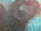 PINK FLOYD Meddle MOBILE FIDELITY MFSL 1-190 JVC Japan Ltd. Edition #3831 SEALED